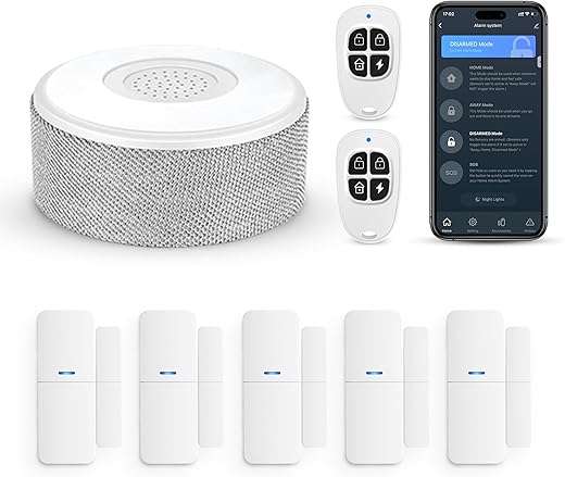 5 Esenciales Para La Seguridad Familiar